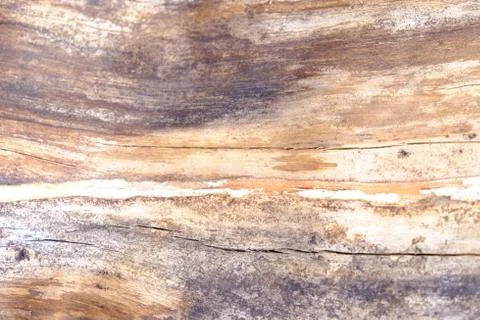 Wood texture Stock Photos