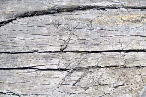 Wood texture Stock Photos