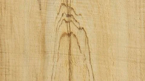 Wood Texture 스톡 사진