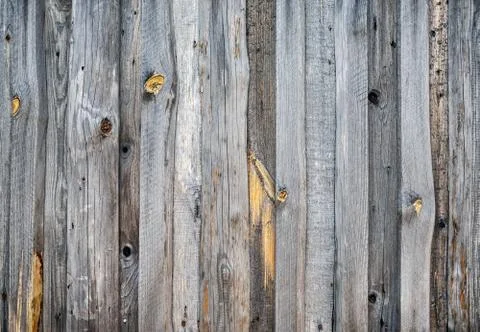 Wood texture Stock Photos