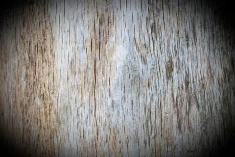 Wood texture Stock Photos