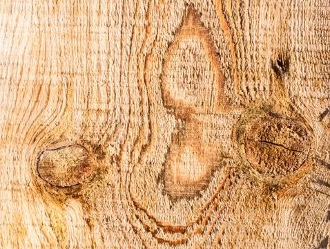 Wood texture 写真素材