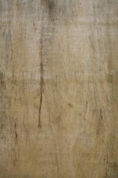 Wood Texture Stock Photos