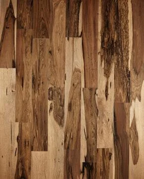 Wood texture Stock Photos