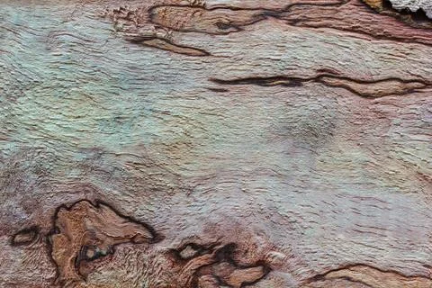 Wood texture Stock Photos