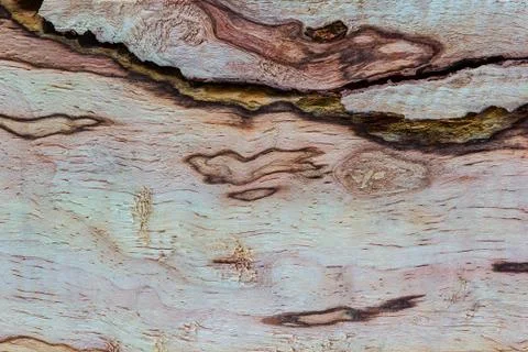Wood texture Stock Photos