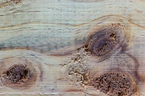 Wood texture Stock Photos
