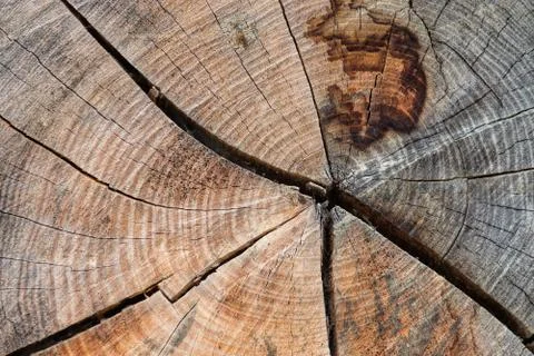 Wood texture Stock Photos
