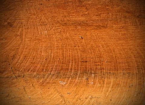 Wood texture Stock Photos