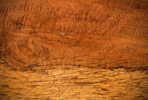 Wood texture Stock Photos