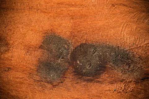 Wood texture Stock Photos