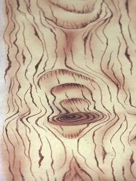 The Wood texture Stock Photos