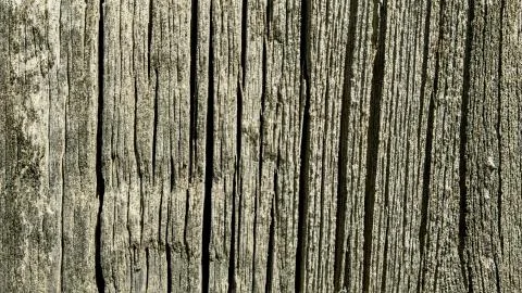 Wood texture Stock Photos