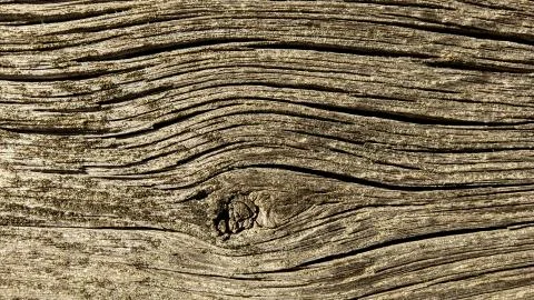 Wood texture Stock Photos