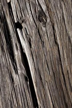 Wood Texture 스톡 사진