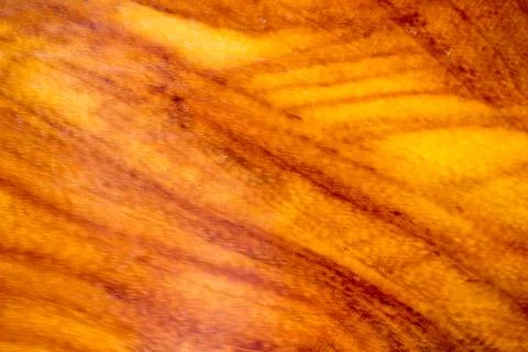 Wood texture Stock Photos