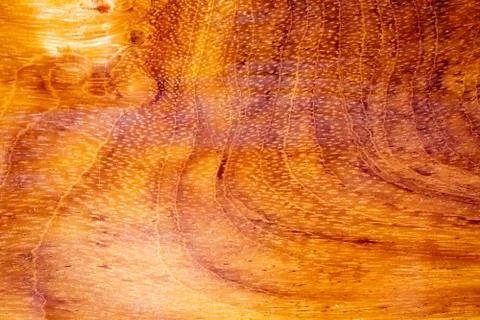 Wood texture Stock Photos