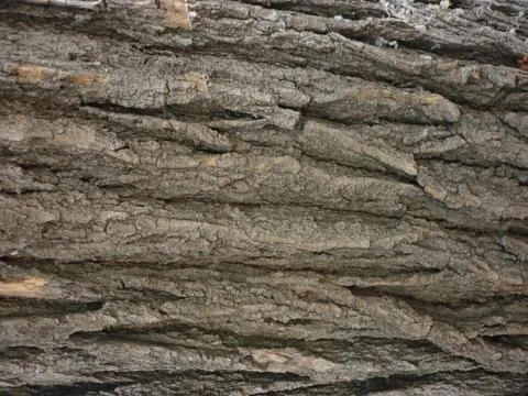 Wood texture Stock Photos