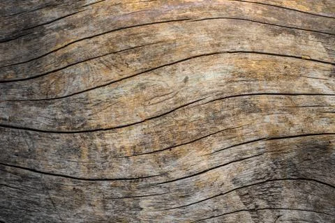 Wood texture Stock Photos