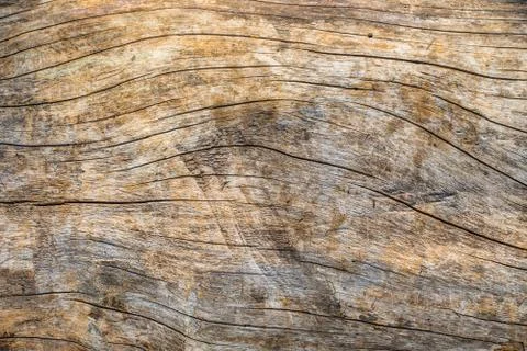 Wood texture Stock Photos