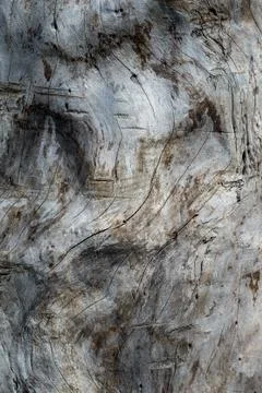 Wood texture Stock Photos