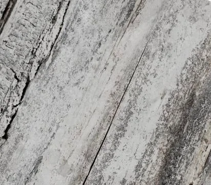 Wood texture Stock Photos
