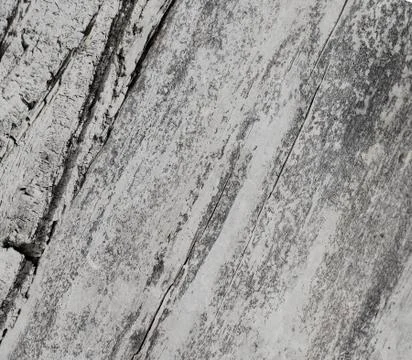 Wood texture Stock Photos