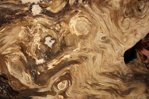 Wood Texture Stock Photos