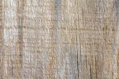 Wood texture Foto stock