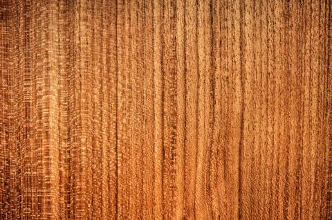 Wood texture Stock Photos