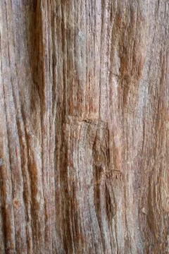 Wood texture Stock Photos