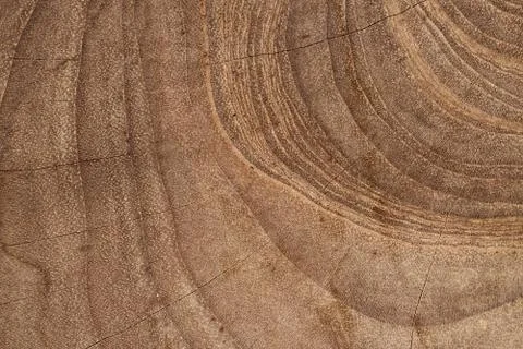 Wood texture Foto stock