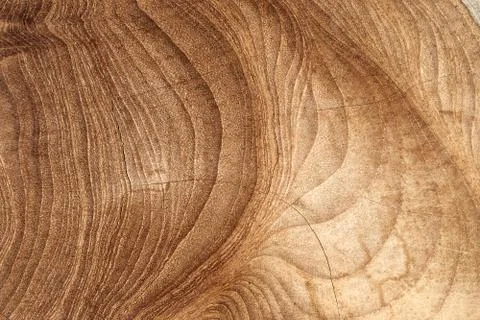 Wood texture Stock Photos