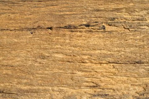 Wood texture Stock Photos