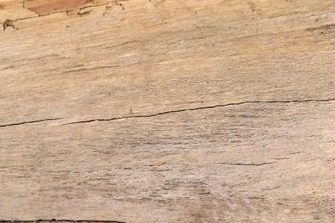 Wood texture Stock Photos