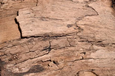 Wood texture Stock Photos