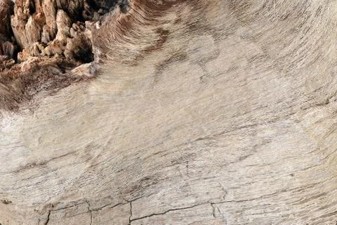 Wood texture Stock Photos