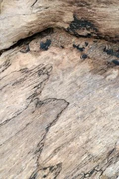 Wood texture Stock Photos