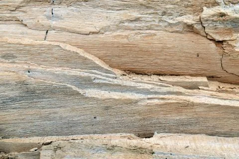 Wood texture Stock Photos