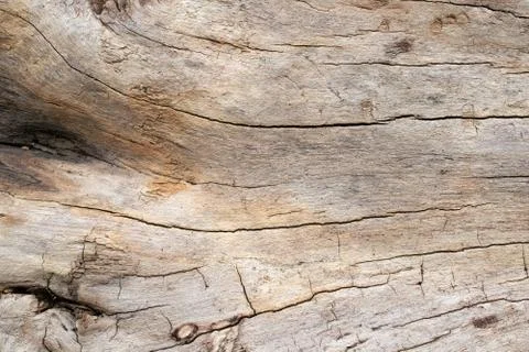 Wood texture Stock Photos