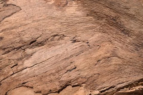 Wood texture Stock Photos