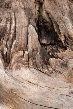 Wood texture Stock Photos