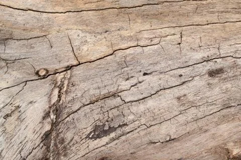 Wood texture Stock Photos