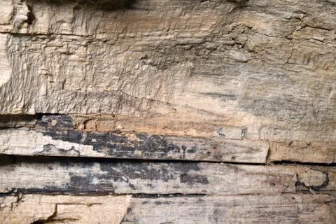 Wood texture Stock Photos