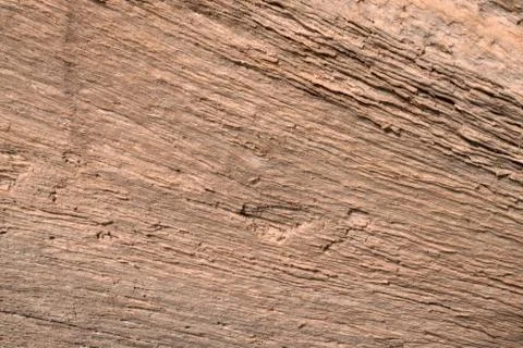 Wood texture Stock Photos