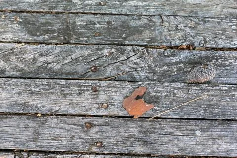 Wood texture Stock Photos