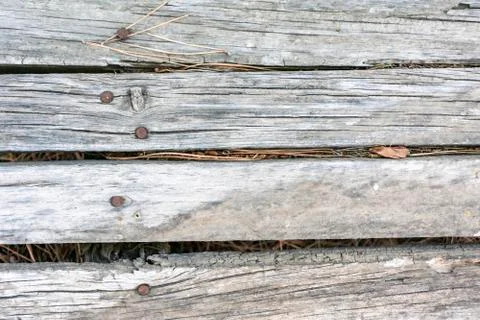 Wood texture Stock Photos
