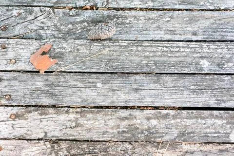 Wood texture Stock Photos