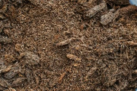 Wood texture Stock Photos