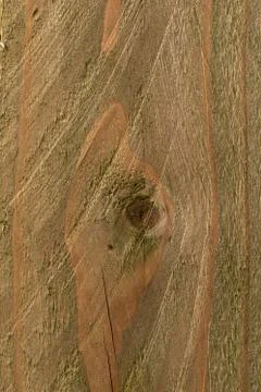 Wood texture Stock Photos